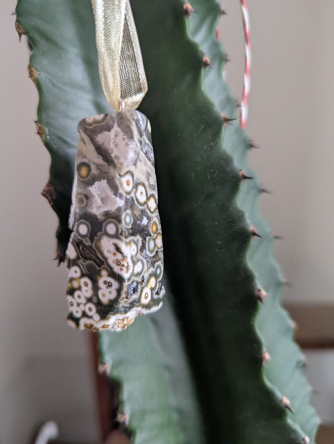 8th Vein Ocean Jasper Tumbled Gemstone Ornament (Various Stones Available)