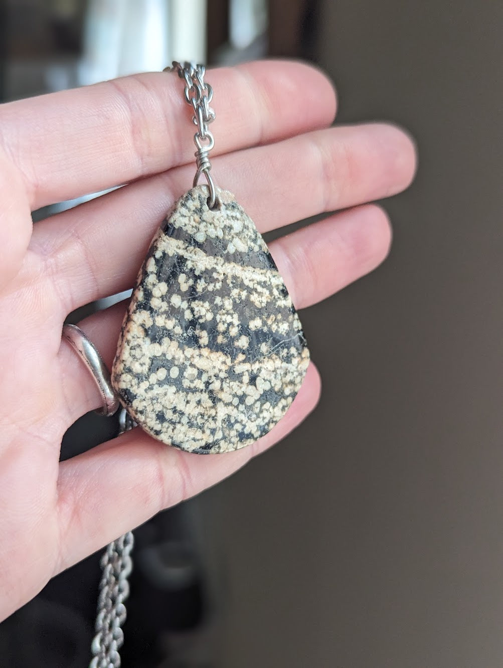 Ocean Jasper and Stainless Steel Necklace