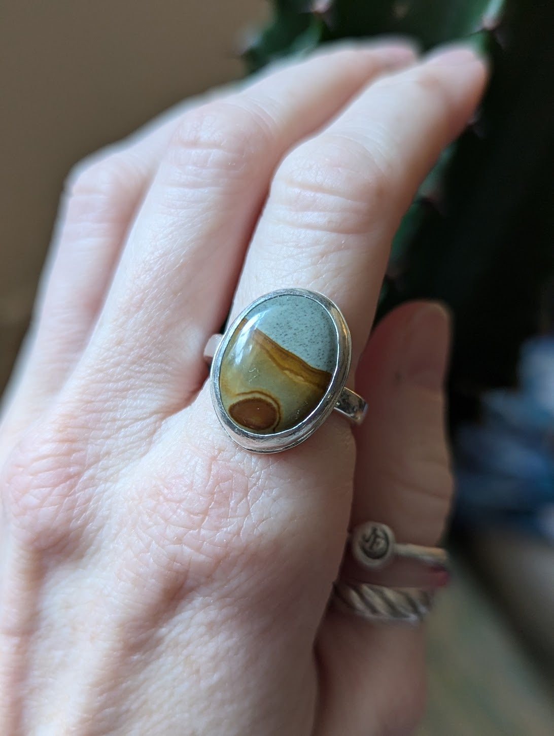 Scenic Jasper Sterling Ring - Size 9.5