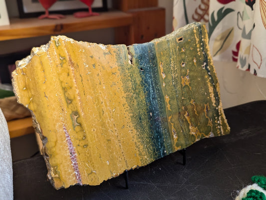 Multi-Color Rectangle Ocean Jasper Slab