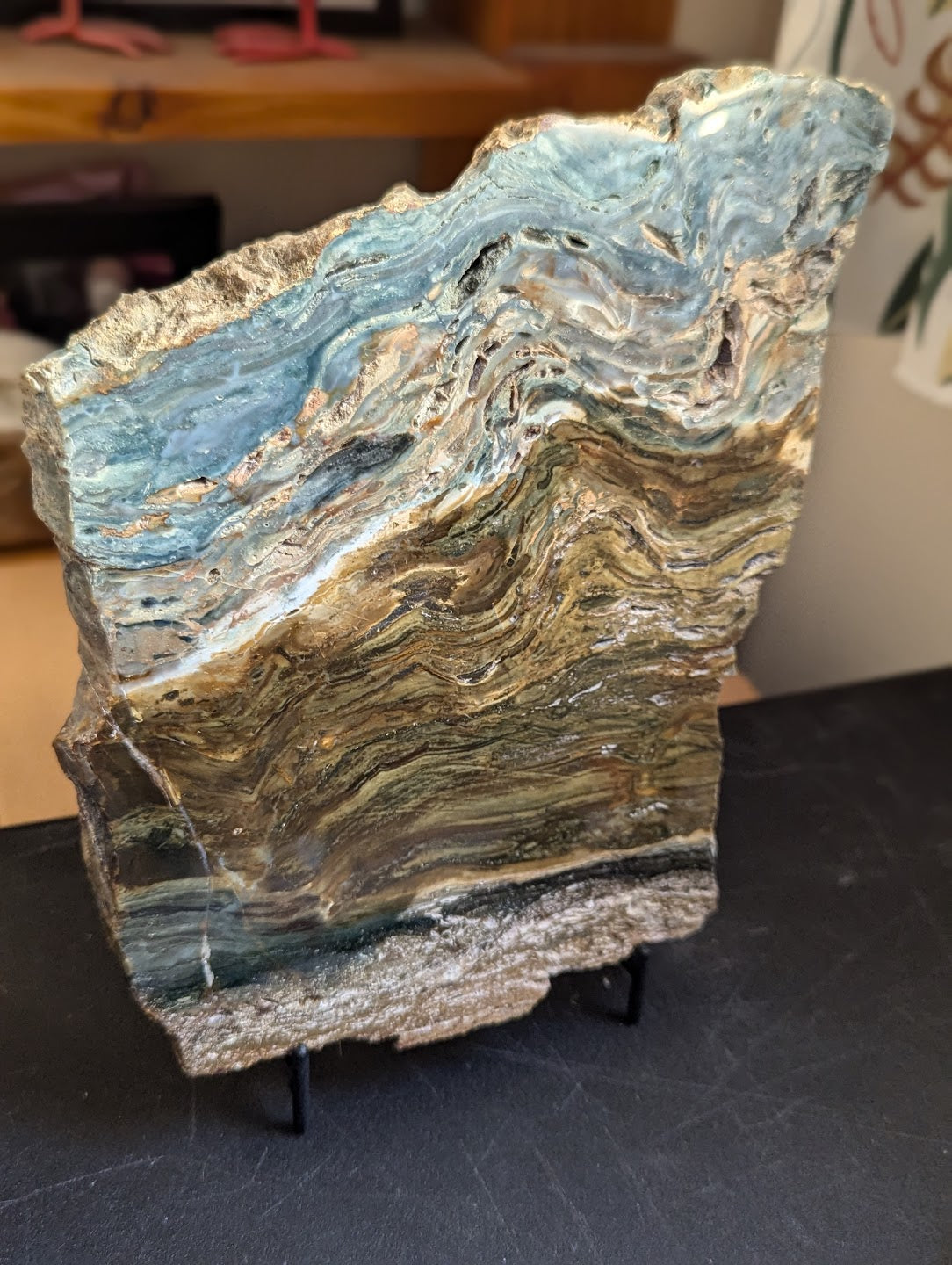 Multi-Color Ocean Jasper Slab