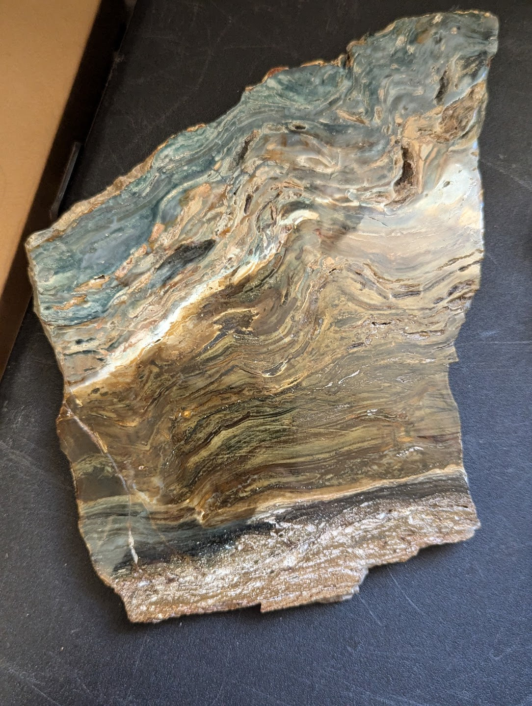 Multi-Color Ocean Jasper Slab