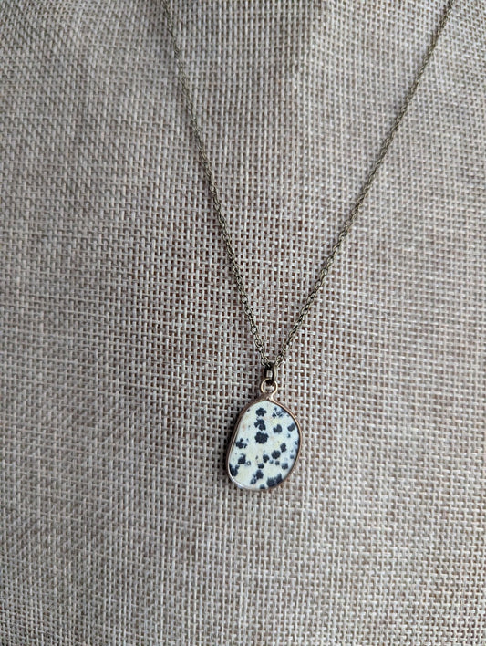 Dalmatian Jasper Brass Necklace