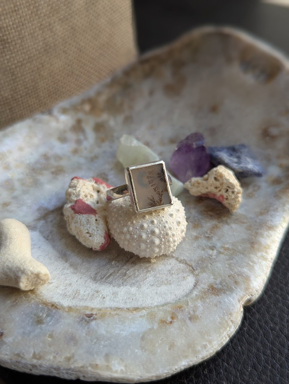 Dendritic Agate Moon Rectangle Silver Ring - Size 7