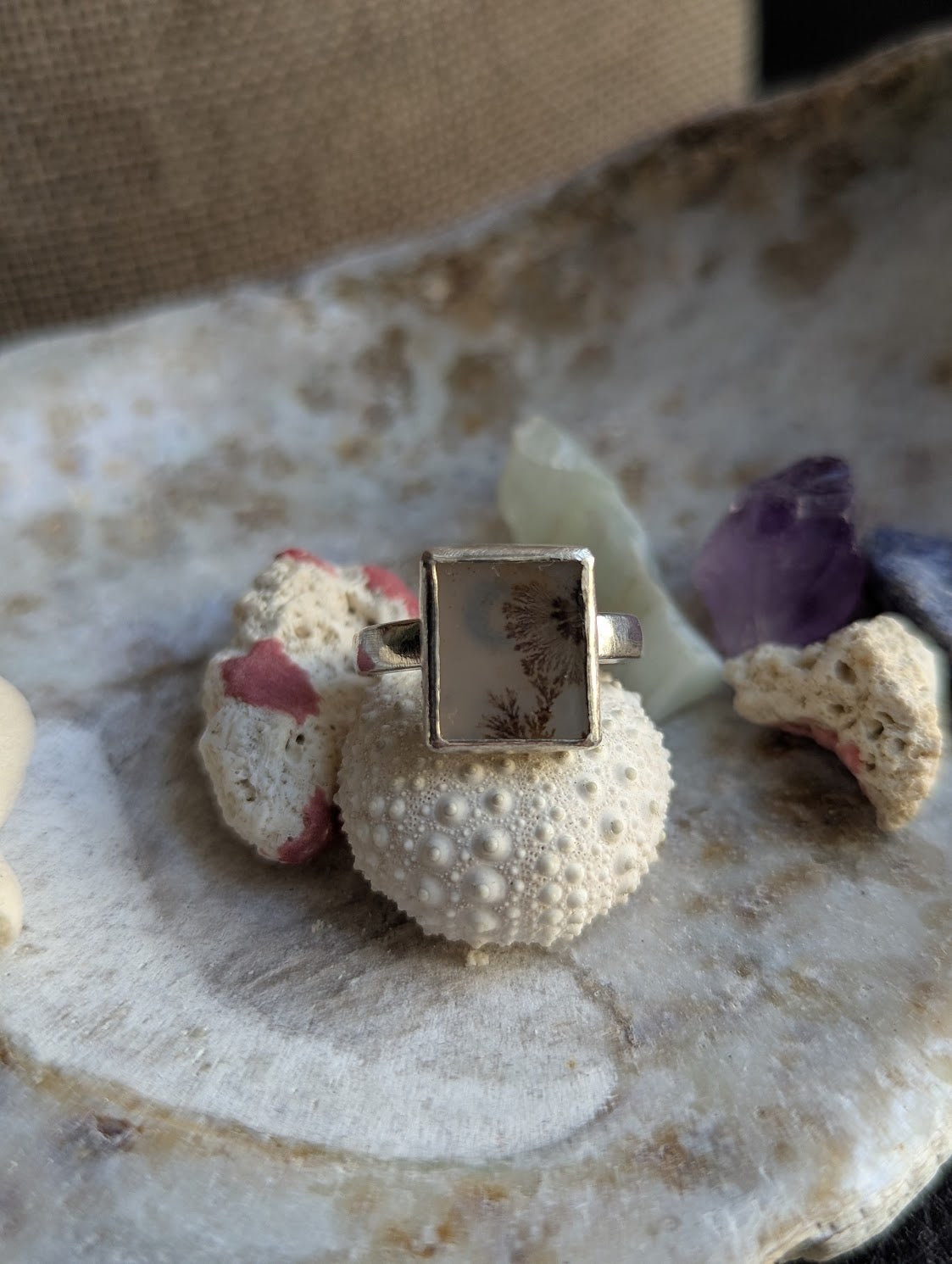 Dendritic Agate Moon Rectangle Silver Ring - Size 7
