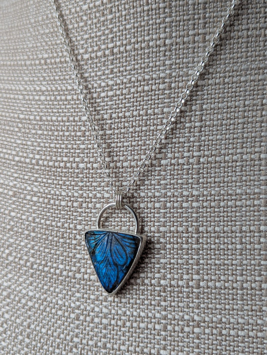 Carved Labradorite Shield Full Circle Sterling Silver Necklace