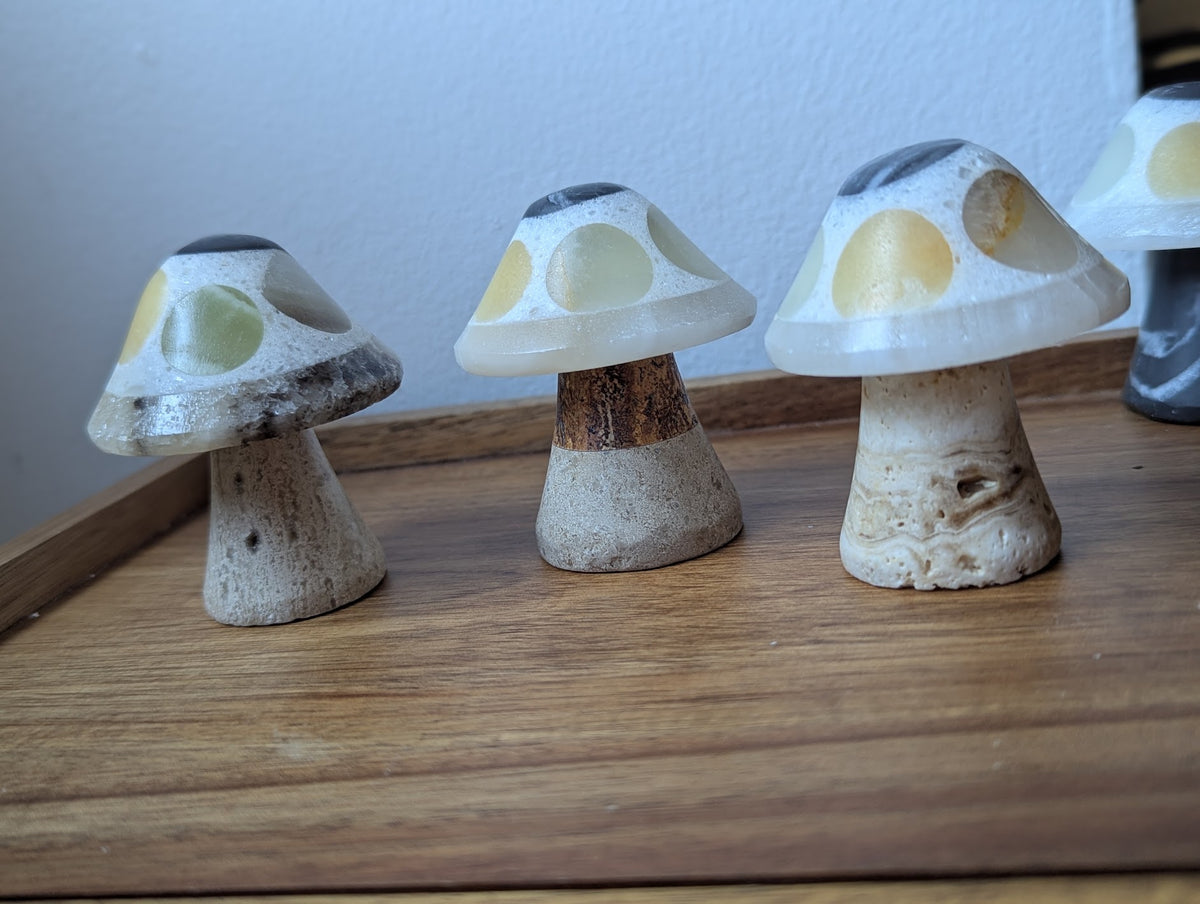 Mixed Gemstone Mushroom (Various Options Available)
