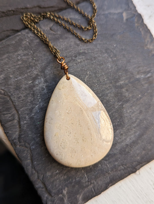 Fossilized Coral Pendant on Brass Necklace