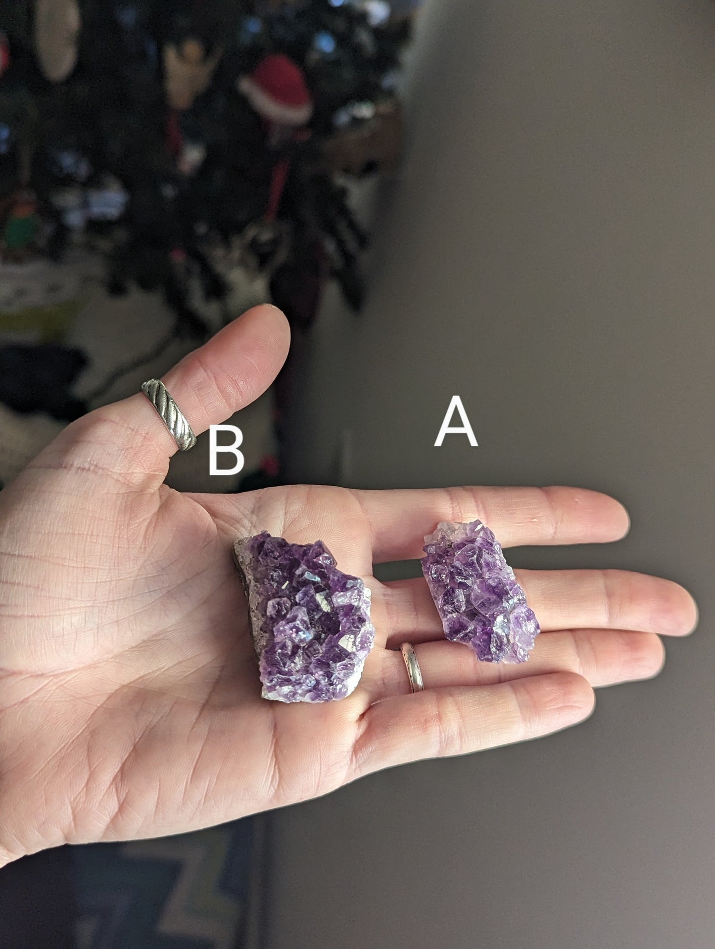 Raw Amethyst Pieces (assorted sizes)
