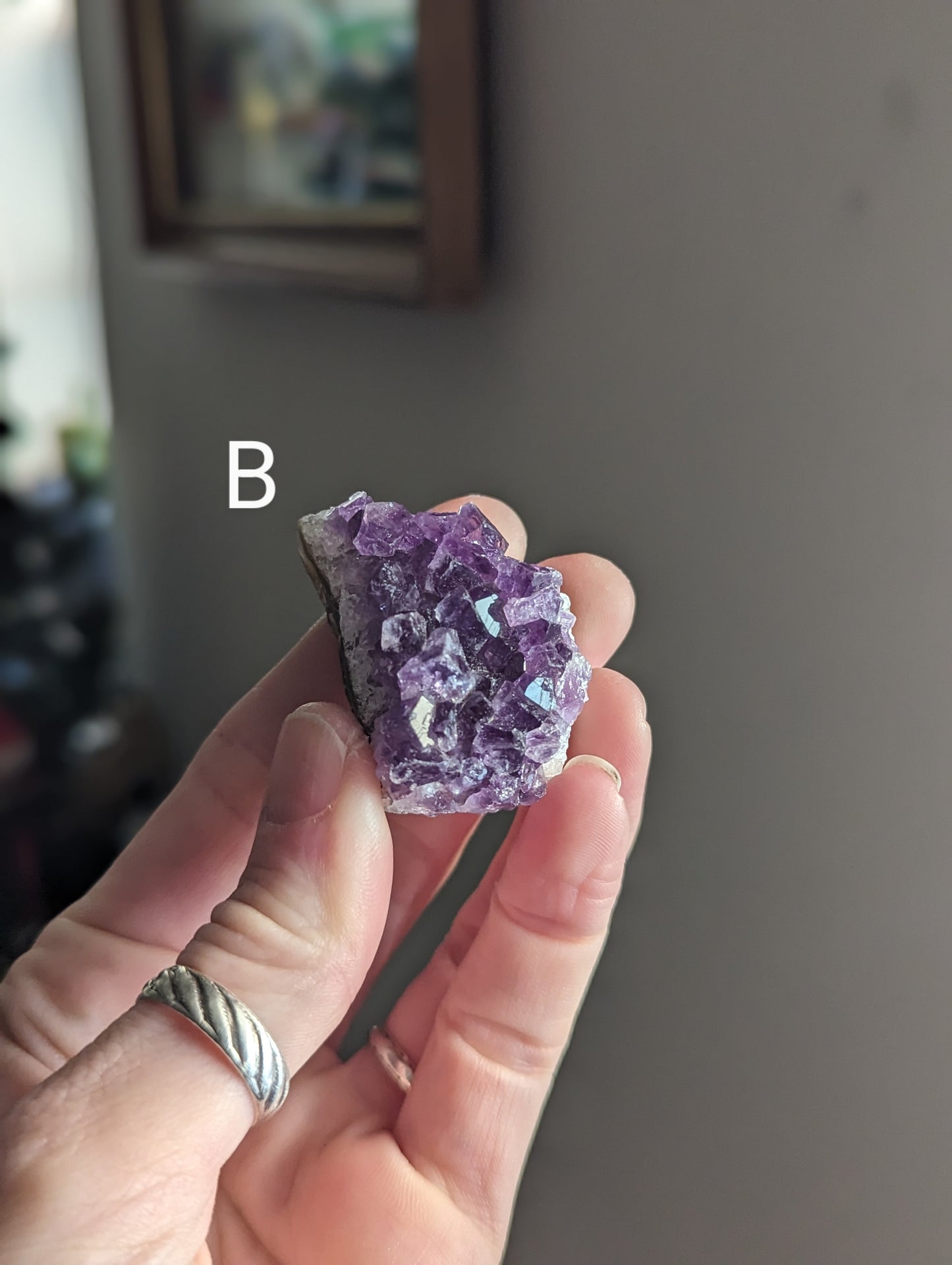 Raw Amethyst Pieces (assorted sizes)