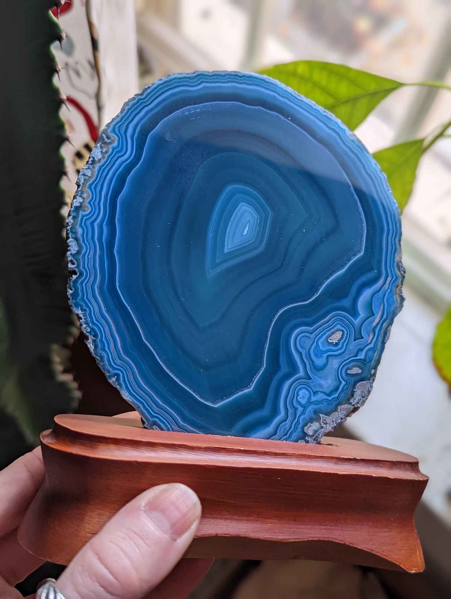 Blue Agate Slice on Wood Stand