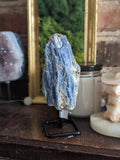 Blue Kyanite on Metal Stand